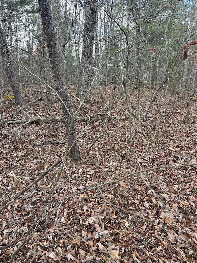 4127 Moccasin Ln, Crossville TN, 38572 land for sale