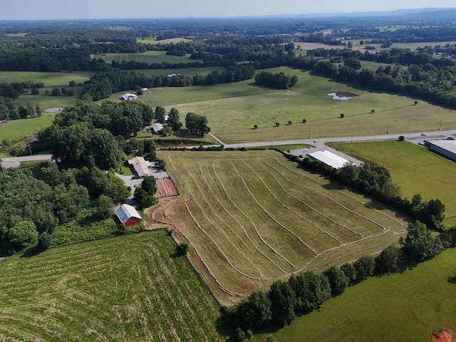 birds eye view of property with a rural view