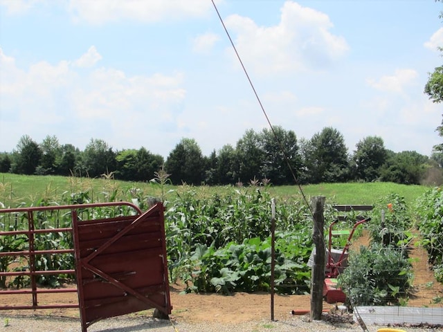 view of gate featuring a vegetable garden