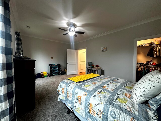 carpeted bedroom with visible vents, a ceiling fan, ornamental molding, a closet, and a walk in closet