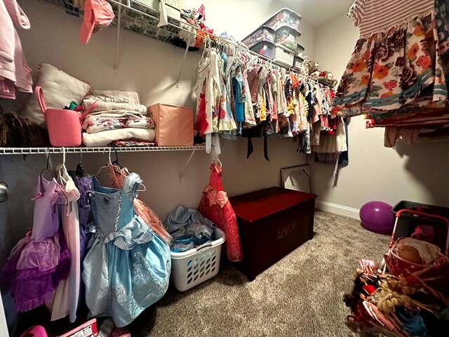 spacious closet with carpet flooring