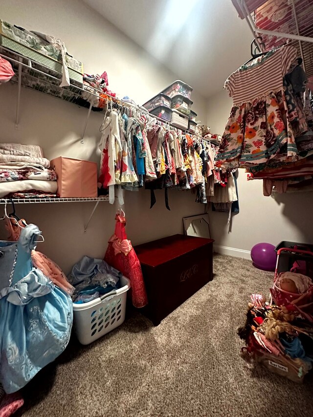 walk in closet featuring carpet