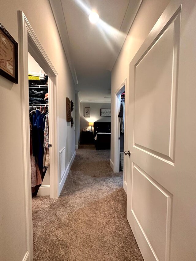 corridor featuring visible vents, baseboards, and carpet flooring