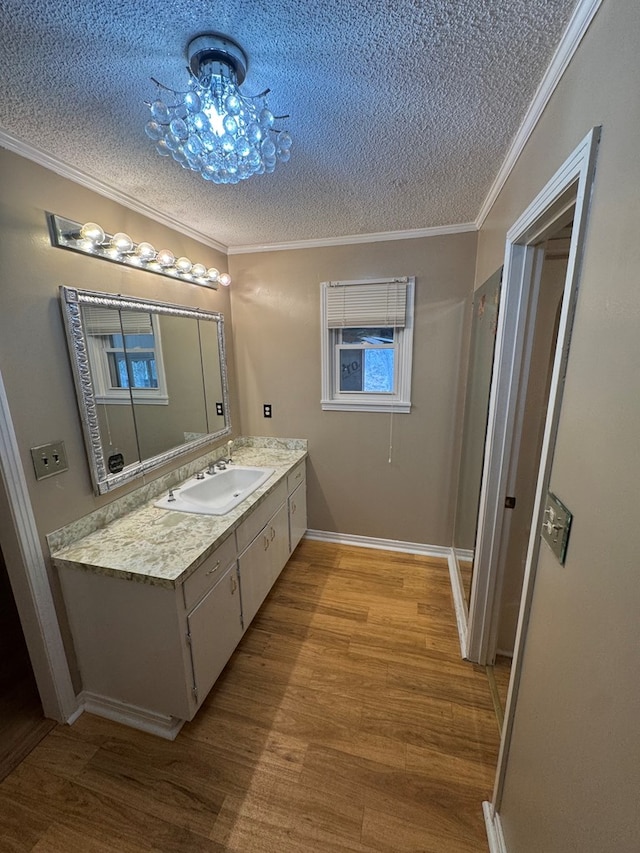 bathroom with crown molding, vanity, a textured ceiling, and wood finished floors