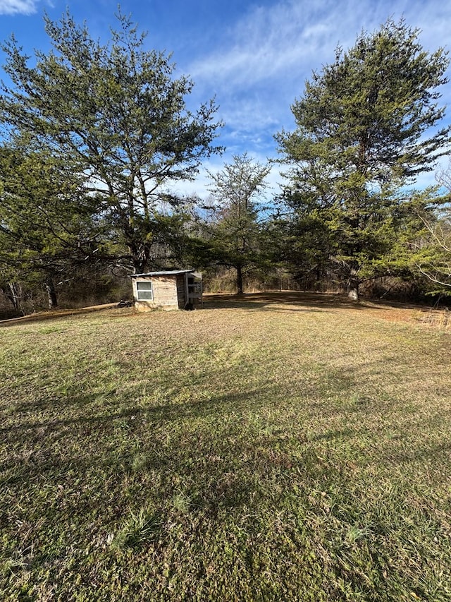 view of yard featuring an outdoor structure