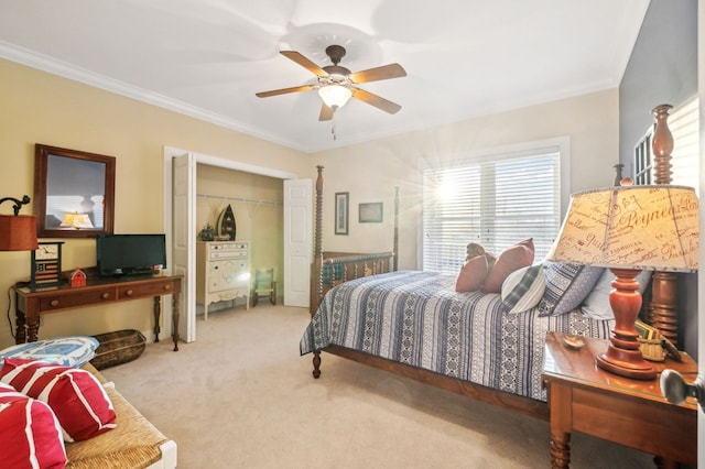 carpeted bedroom with ceiling fan, a closet, and crown molding