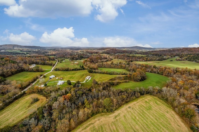 drone / aerial view with a mountain view