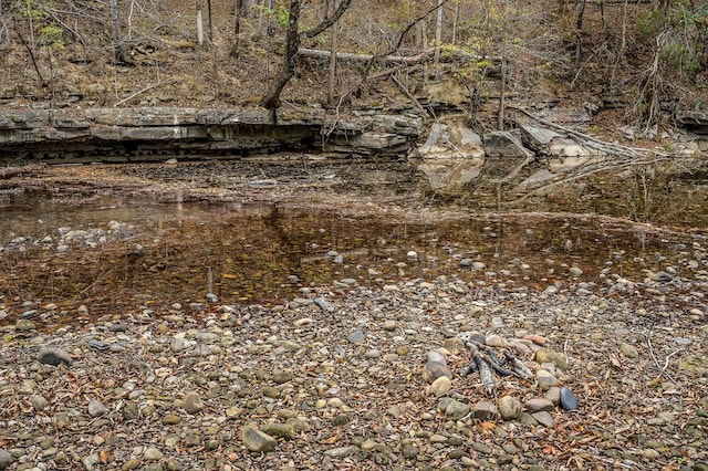 view of local wilderness