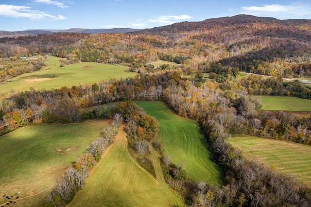 drone / aerial view with a mountain view