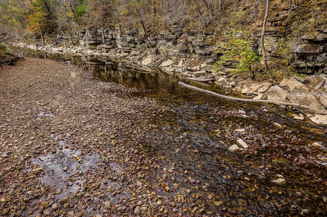 view of local wilderness