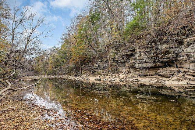 view of local wilderness