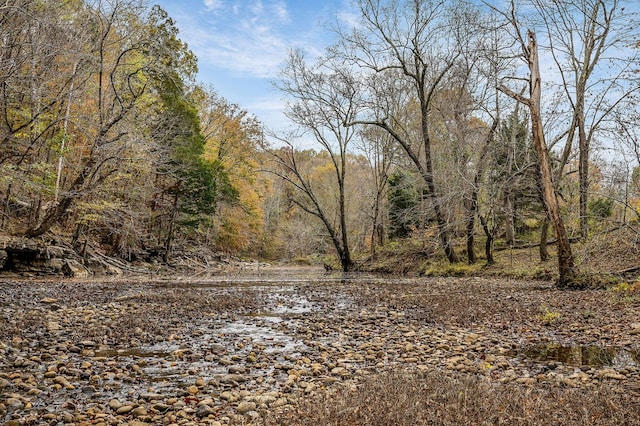 view of local wilderness