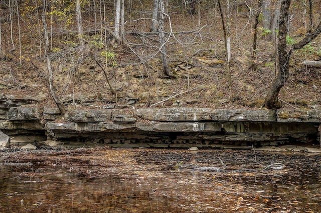 view of nature