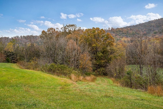 view of mountain feature featuring a forest view