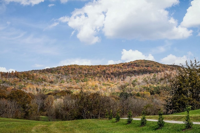 mountain view with a wooded view