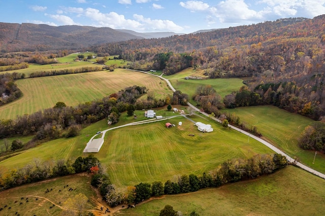 drone / aerial view with a rural view and a mountain view