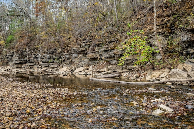 view of nature with a wooded view