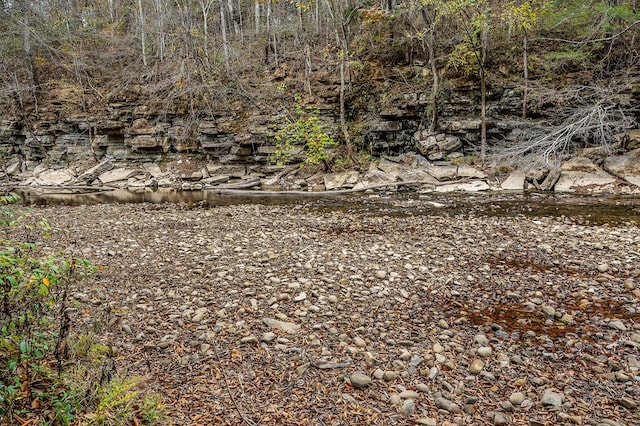 view of local wilderness featuring a wooded view