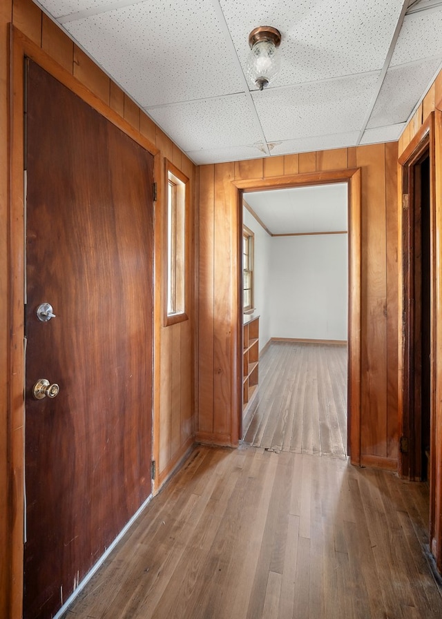 hall featuring a drop ceiling, wood finished floors, and wooden walls