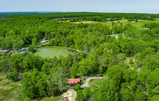 drone / aerial view featuring a forest view and a water view