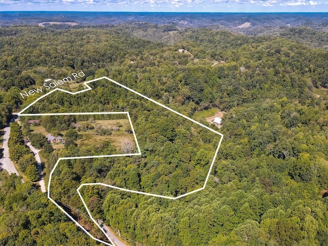 00 NE New Salem Rd, Gainesboro TN, 38562 land for sale