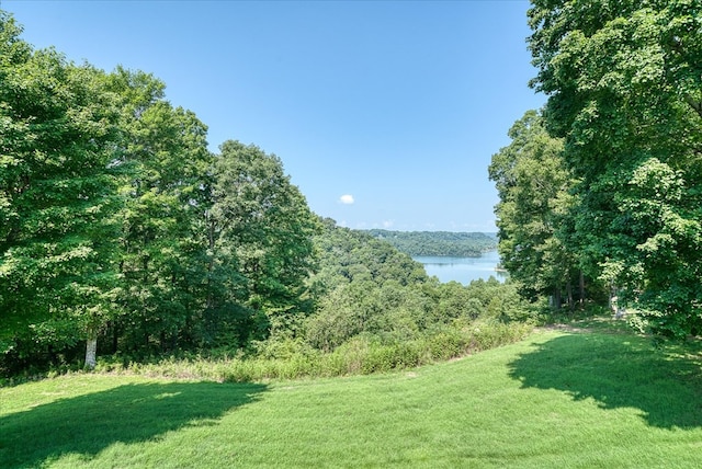 view of yard featuring a water view