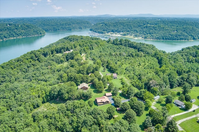 aerial view featuring a forest view and a water view