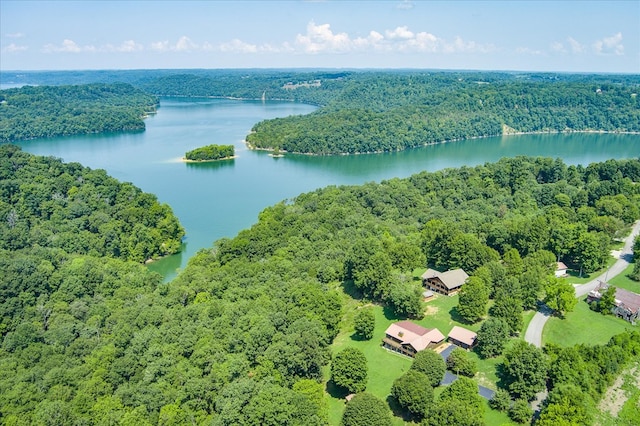 aerial view with a water view and a view of trees