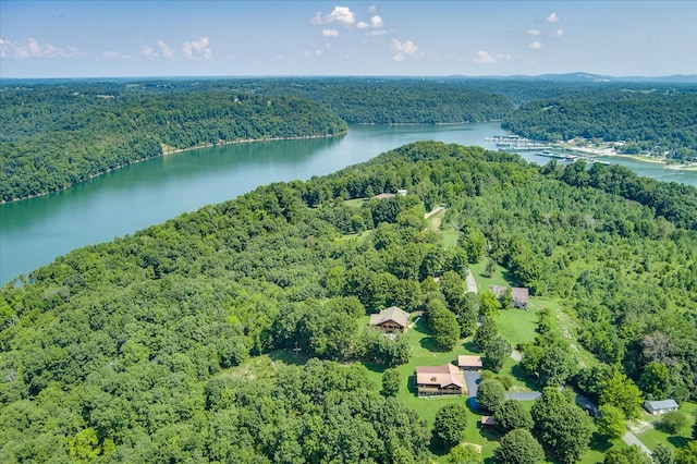 bird's eye view featuring a water view and a wooded view