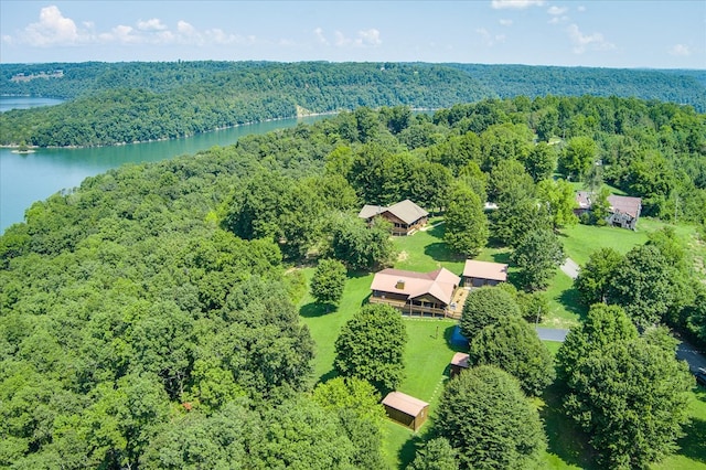 bird's eye view with a water view and a wooded view