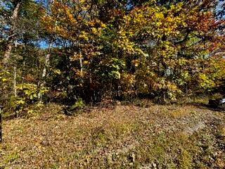 Listing photo 2 for LOT46 Honey Spgs, Crawford TN 38554