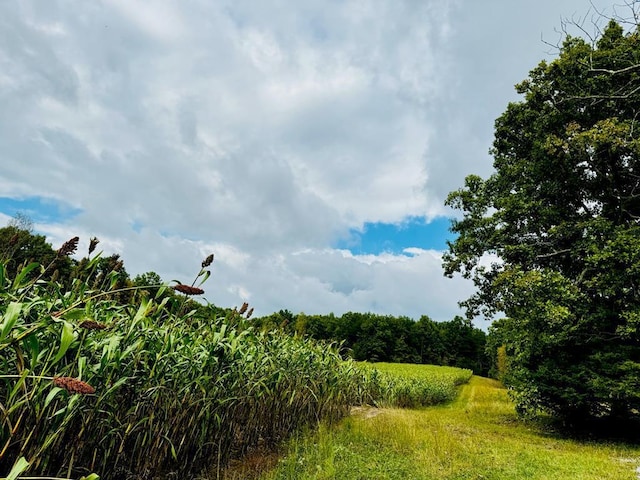 Listing photo 2 for 68ACRES Muddy Pond Rd, Monterey TN 38574