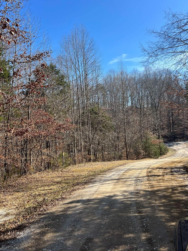 Listing photo 3 for LOT12 Cave Valley Rd, Byrdstown TN 38549