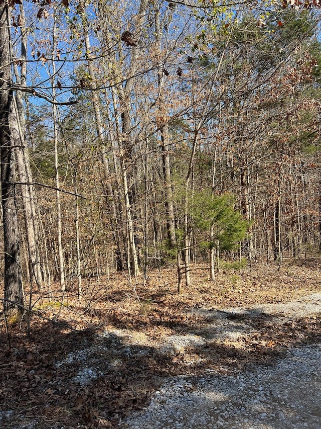 Listing photo 2 for LOT12 Cave Valley Rd, Byrdstown TN 38549