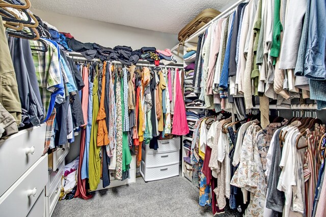 spacious closet featuring carpet flooring