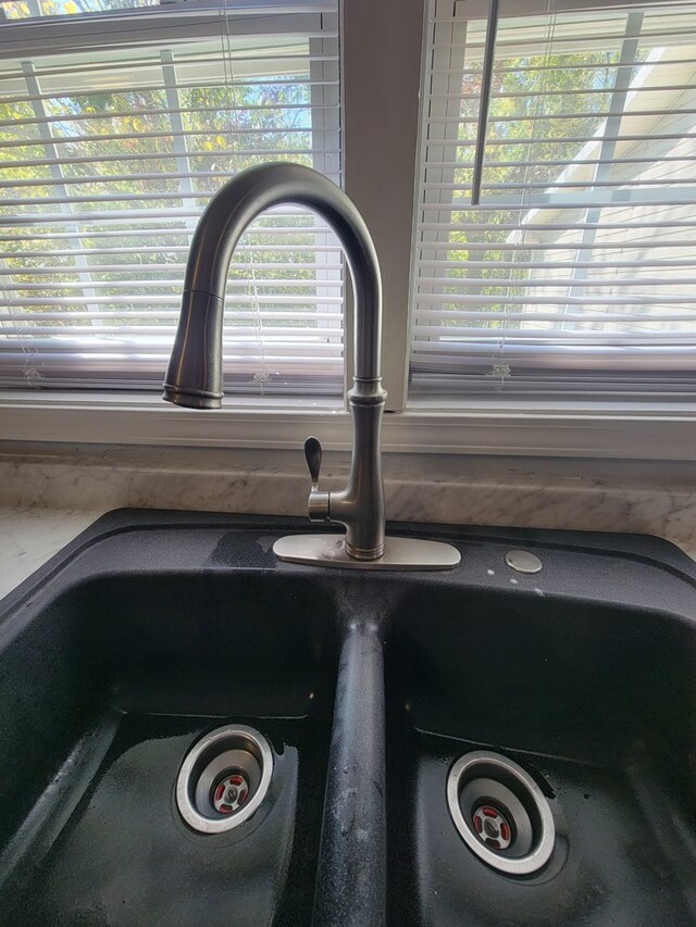 interior details featuring a sink