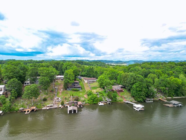 bird's eye view with a view of trees and a water view