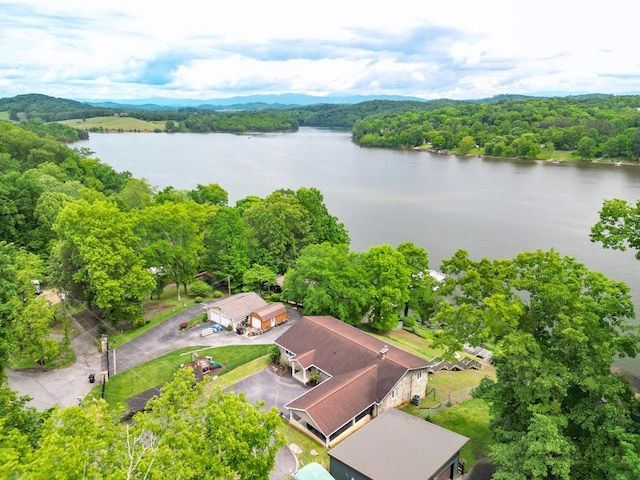 bird's eye view featuring a forest view and a water view