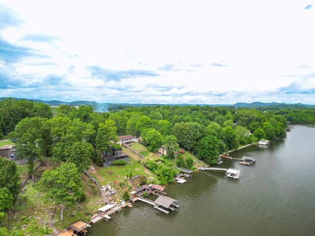 drone / aerial view with a water view and a wooded view