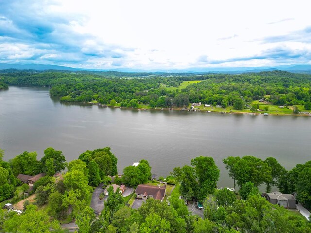 drone / aerial view featuring a forest view and a water view