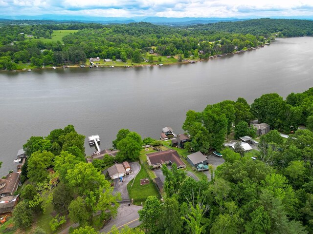 birds eye view of property featuring a forest view and a water view