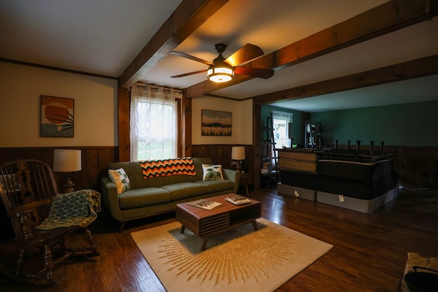 living area featuring a wainscoted wall, plenty of natural light, dark wood finished floors, and beam ceiling