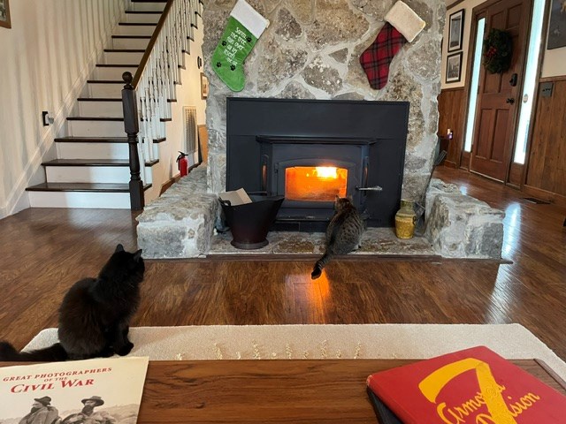 room details featuring a fireplace and wood finished floors