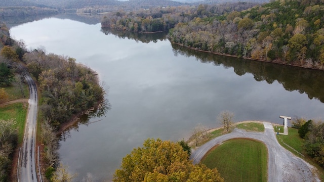 bird's eye view featuring a water view and a wooded view