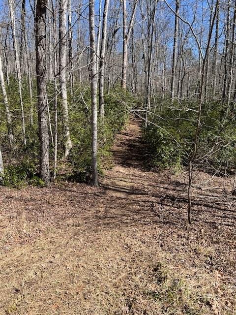 Listing photo 2 for LOT16 Cliff Park Rd, Monterey TN 38574