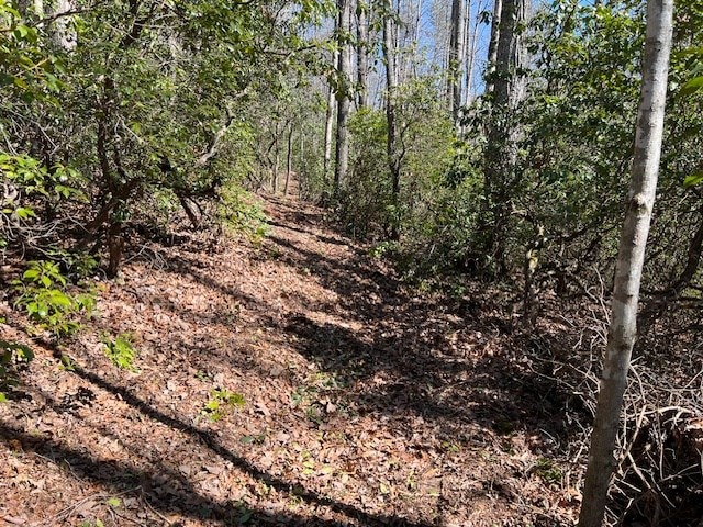 Listing photo 3 for LOT16 Cliff Park Rd, Monterey TN 38574