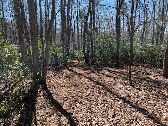 LOT16 Cliff Park Rd, Monterey TN, 38574 land for sale