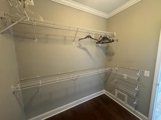 spacious closet featuring wood finished floors