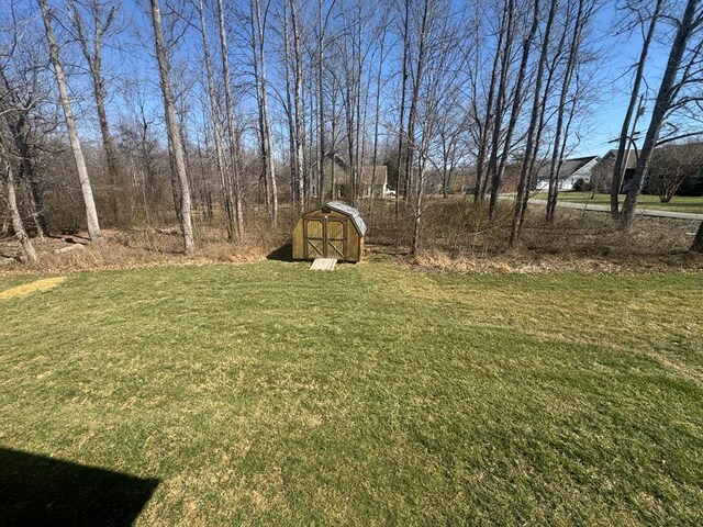 view of yard with a storage unit and an outdoor structure