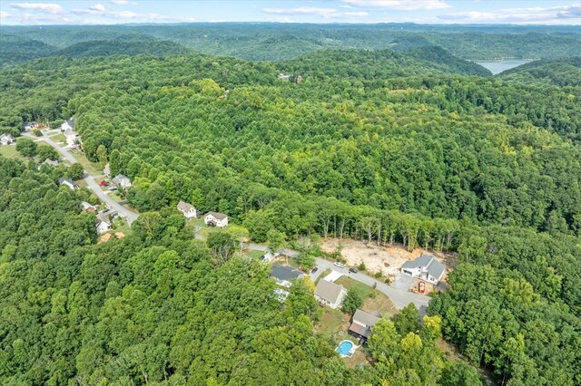 aerial view with a forest view